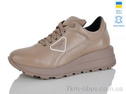 Carolina 2019-3 фото