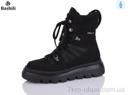 Башили E253-11 фото