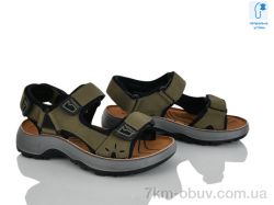 KIMBOO T66-2L фото