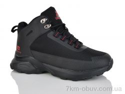 Pet B9056-2 фото