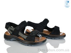 KIMBOO T65-4L фото