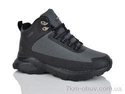 Pet B9056-5 фото