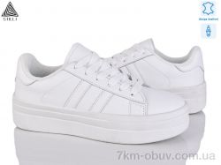 STILLI Group WA50-5 шкіра фото