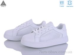 STILLI Group R180 шкіра фото