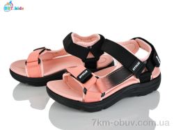 BBT L850-2-6 фото