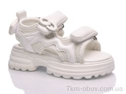 Lilin B362-6 фото