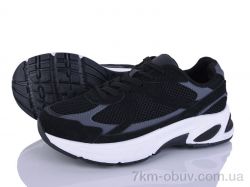 Loretta K534 фото