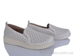 Lion-Lu 2024-33 фото