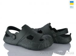 Golden Lion 528 зелений фото