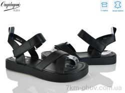 Dageni F208-1 фото