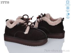 ITTS T6688-3 фото