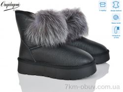 Dageni HAL1801-1 фото