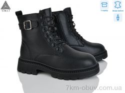 STILLI Group E70-1 шкіра фото