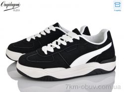 Dageni M88-1 фото