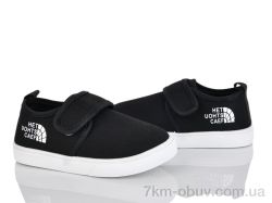 Blue Rama W99-3 фото