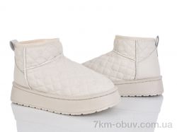 Lion-Lu CL2523 фото