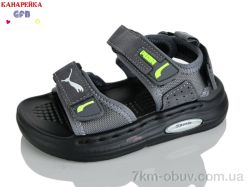 GFB-Канарейка T66-3 фото