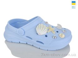 Крок 412 ірис фото