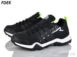 FDEK H9251-3 фото