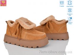 PLPS 2813-6 фото