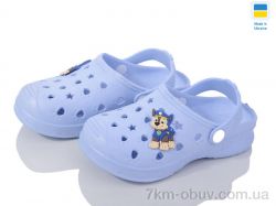 Golden Lion Крок д блакитний фото