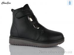 Chunsen M10-1 фото