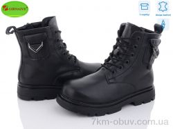 Girnaive B27 фото