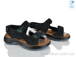 KIMBOO T67-3A фото