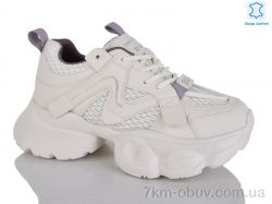 Teetspace-Trasta-Egga WDP1851-3 фото