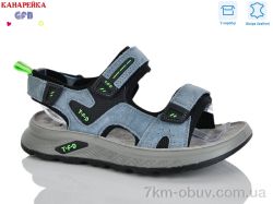 GFB-Канарейка R825-5 фото