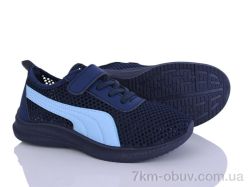 Blue Rama L513-5 фото