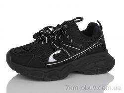 Hongquan J2091-1 фото