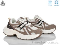 STILLI Group V30-2 шкіра фото