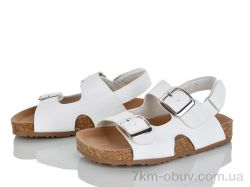 KIMBOO FG610-2C фото