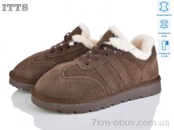 ITTS HY075-24 фото