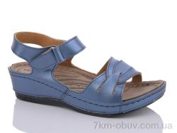 FG Z111-4 фото