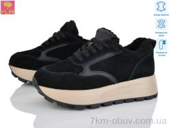 PLPS YJ688-1 фото