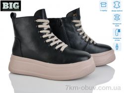 BIG AG0184-B фото