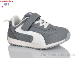 GFB-Канарейка S238-5 фото