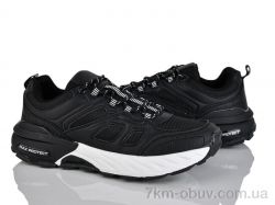 Moli A202-1 фото