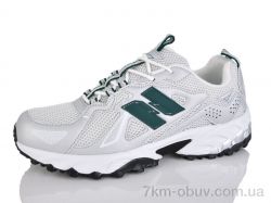 Moli A8009-3 фото