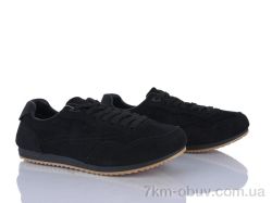 Loretta K575 фото