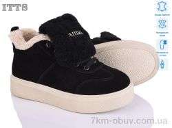 ITTS DD7600-2 фото