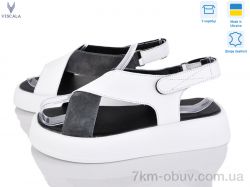 Viscala 23211 б.ш.+сір.з. фото