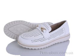 Lion-Lu 2024-66 фото