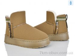 Lion-Lu CL2527 фото