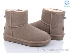 ITTS 5854-16 фото