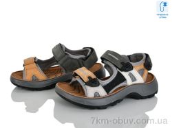 KIMBOO T65-2L фото