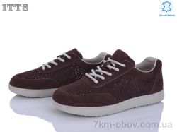 ITTS P03-4 фото