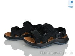 KIMBOO T62-3A фото